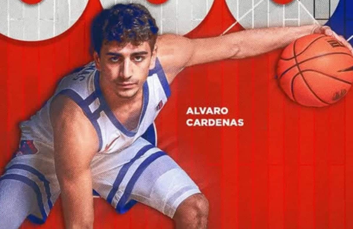 @alvarocardenass_