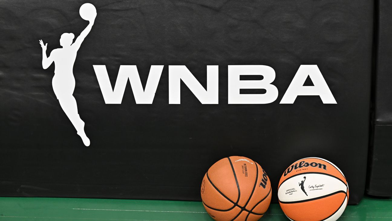 Propriétaire du Seattle Storm suspendue après altercation avec fans